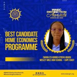 Ewura Esi Adobea Otieku-Boadu | WASSCE distinction award winners